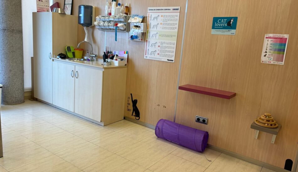 clinica veterinaria sant cugat del valles