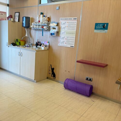 Consulta gatos sant cugat del valles