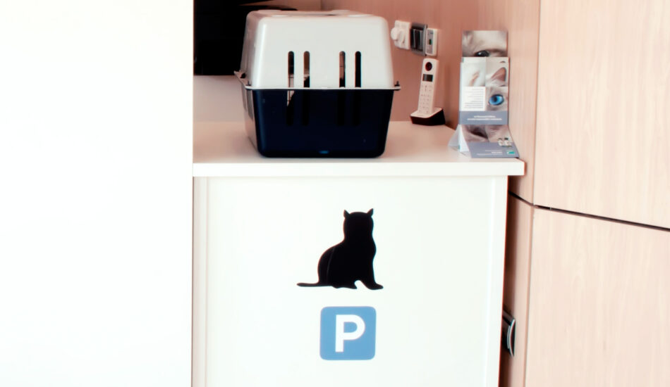 clinica veterinaria sant cugat del valles parking