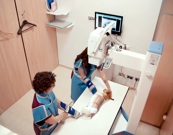 radiologia triavet sant cugat del valles