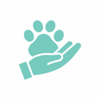 Clinica veterinaria triavet valores