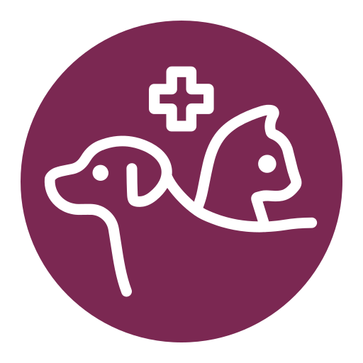 veterinaria amigable con los gatos