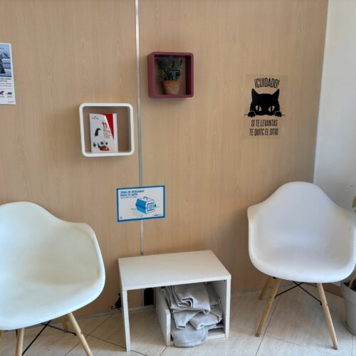 sala espera gatos sant cugat del valles